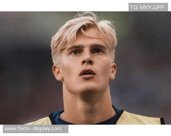 细数瑞典著名足球球星及他们在世界足坛的辉煌故事